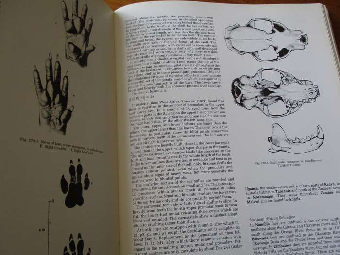 The Mammals of the Southern African Subregion. JD Skinner and RHN Smithers