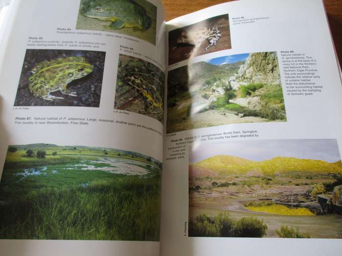 Atlas and Red Data Book of the Frogs of South Africa, Lesotho and Swaziland  Minter, Burger...