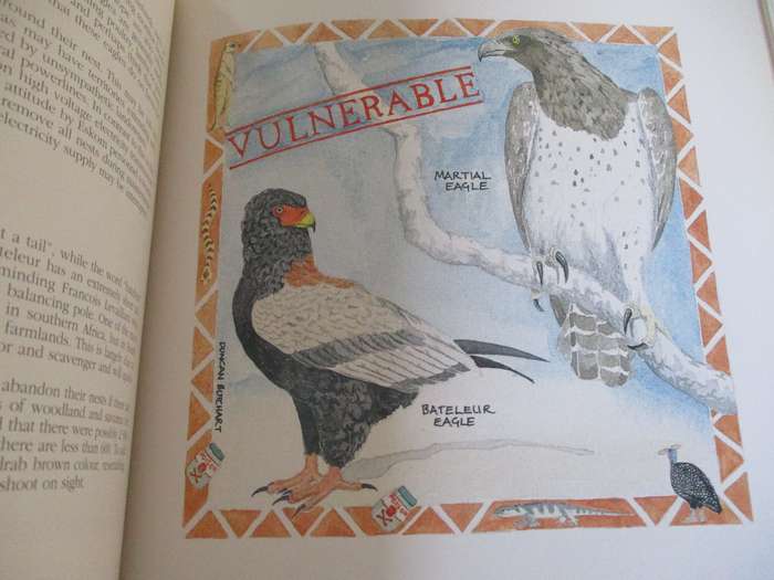 SIGNED. South Africa's threatened Wildlife  John Ledger