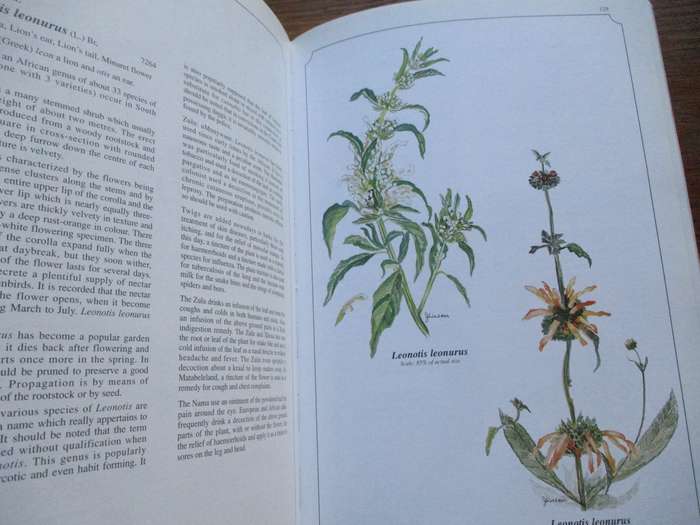 SIGNED. Wild Flowers of Kwa-Zulu Natal  Joan Walker
