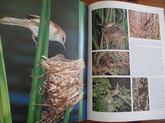 Signed Peter Steyn. NESTING BIRDS. The breeding habits of SA birds