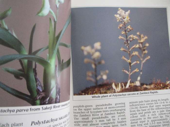 15 Volumes  Orchids South Africa  A South Africanh Orchid Council Publication