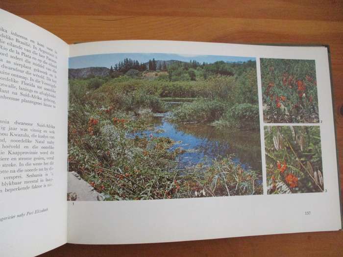 Plant Invaders beautiful, but dangerous CH Stirton