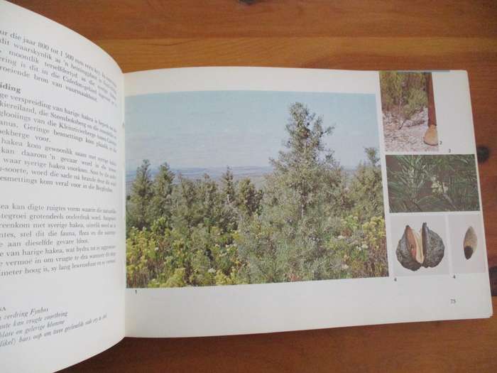 Plant Invaders beautiful, but dangerous CH Stirton