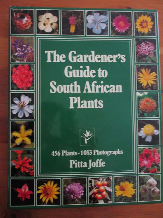 The Gardeners guide to South African Plants  Pita Joffe