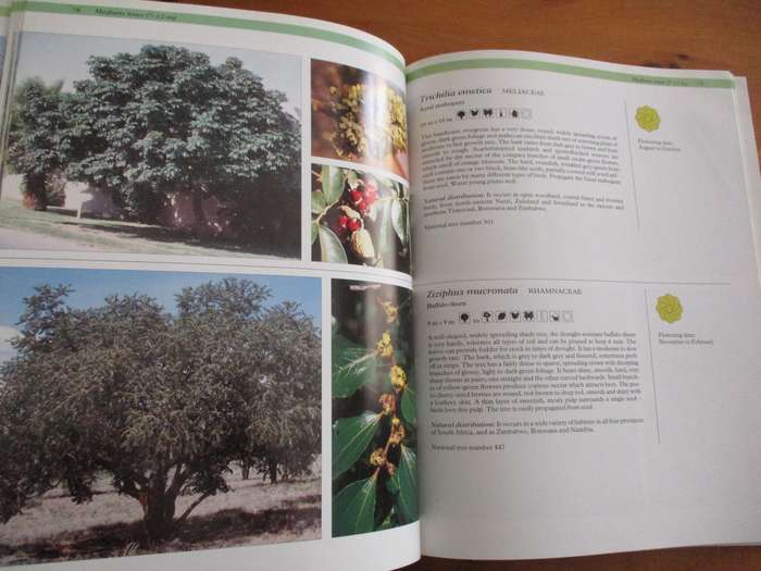 The Gardeners guide to South African Plants  Pita Joffe