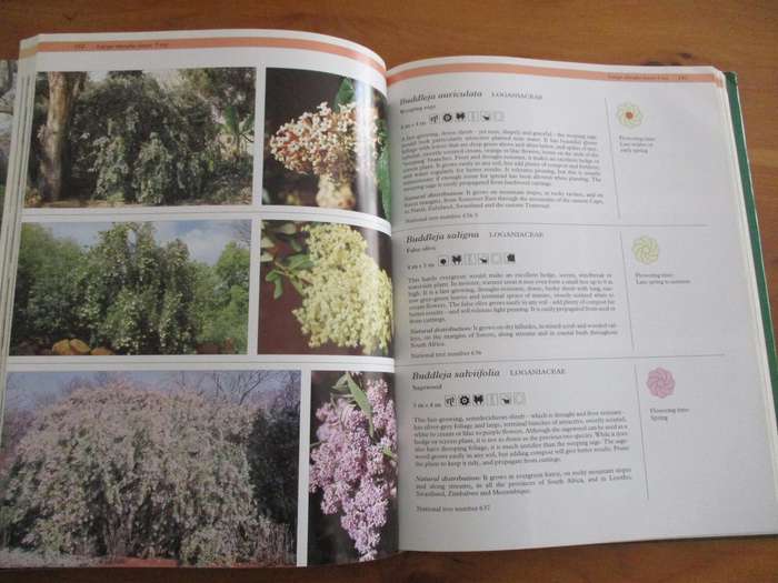 The Gardeners guide to South African Plants  Pita Joffe