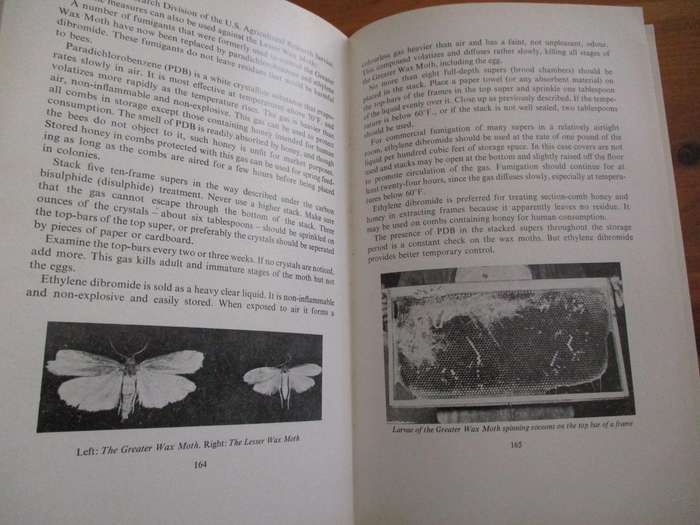 BEEKEEPING - A. Frank May
