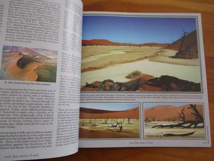 More than grains of sand Comprehensive Travel and Photo guide to the Namib Desert Sakkie Rothmann