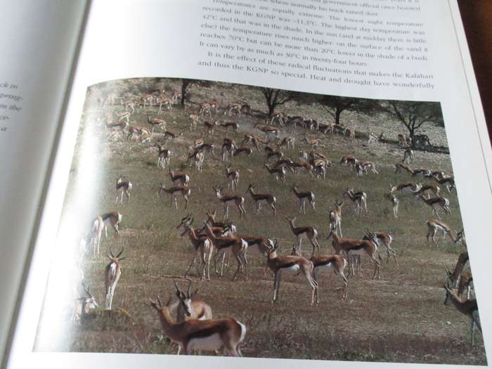 The Growded Desert  The Kalahari Gemsbok Park Wilf Nussey