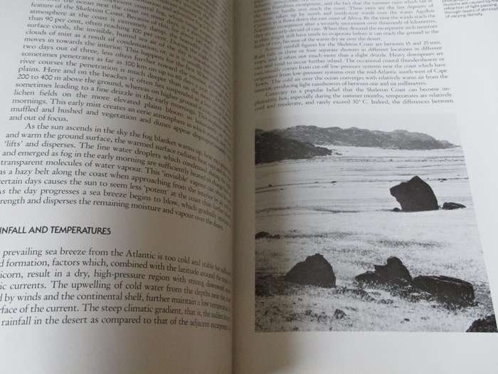 SKELETON COAST  Amy Schoeman
