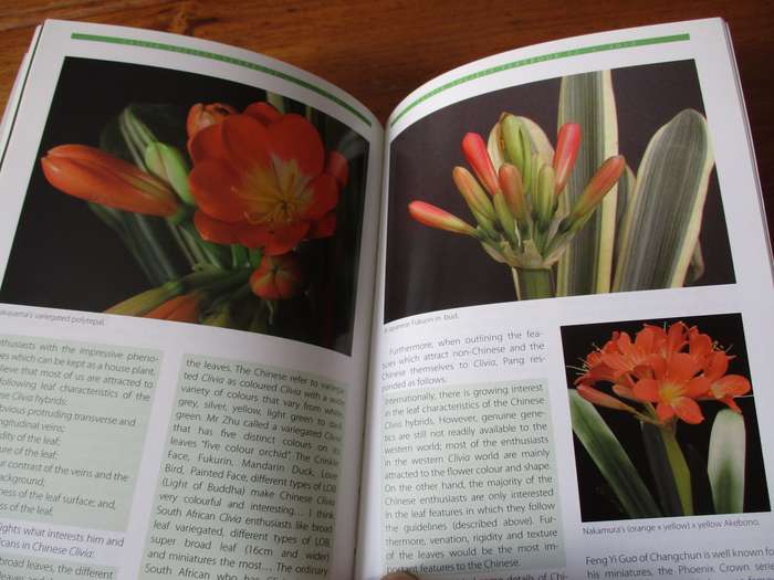 CLIVIA Twelve Roger Fisher & Roger Dixon