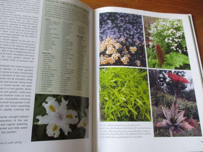 How to design your garden  Una van der Spuy