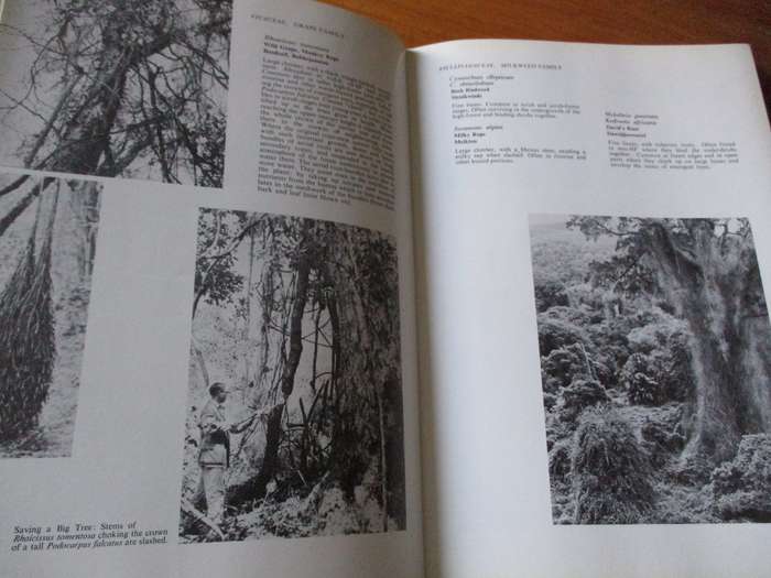SIGNED. Southern Cape Forests and Trees  F. von Breitenbach