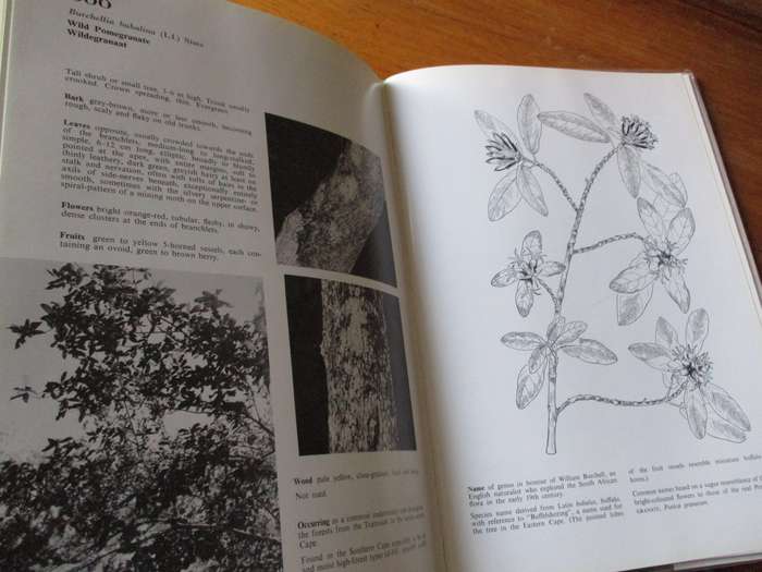 SIGNED. Southern Cape Forests and Trees  F. von Breitenbach