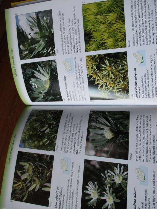 Fynbos Ecoguide  Colin Paterson-Jones & John Manning