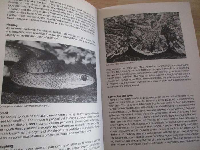Snake verus man  Joahn Marias A guide to dangerous and common snakes of Southern Africa