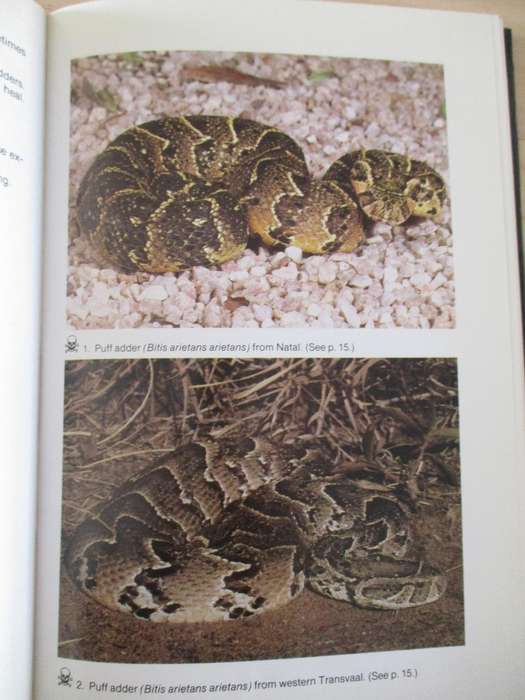 Snake verus man  Joahn Marias A guide to dangerous and common snakes of Southern Africa