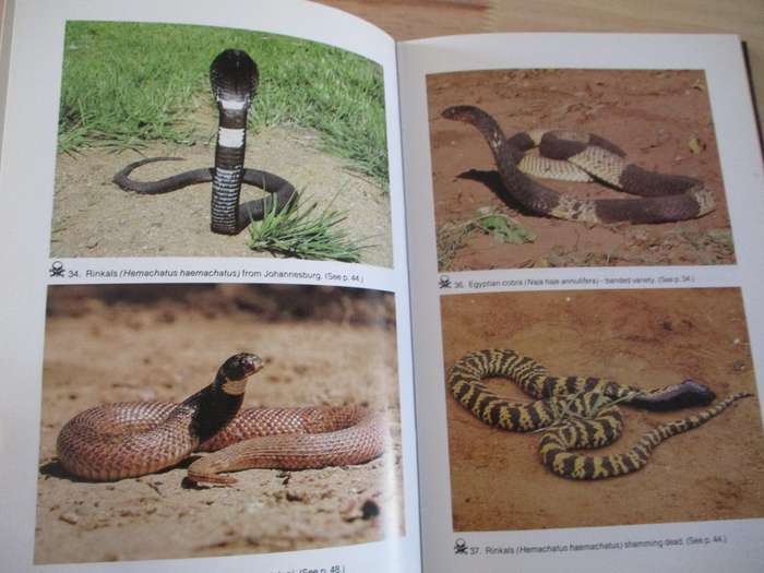 Snake verus man  Joahn Marias A guide to dangerous and common snakes of Southern Africa