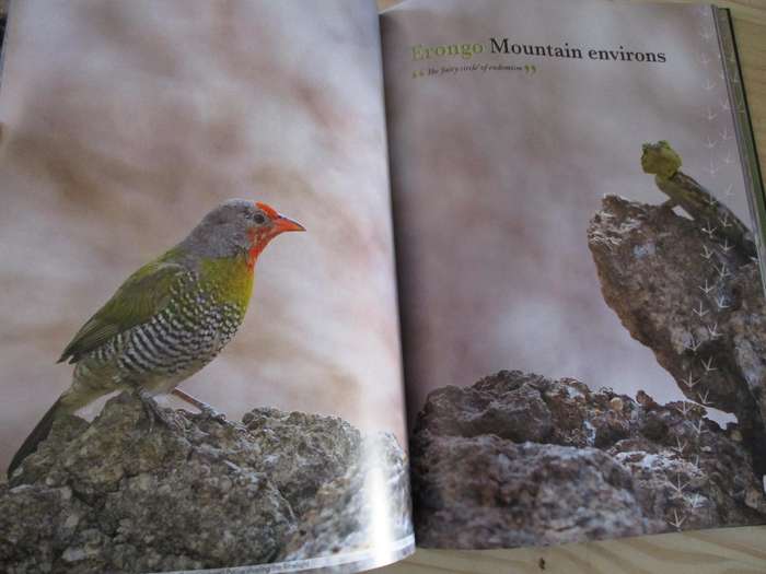 SIGNED. Birds of Naminia  The Journey Continues  Pompie Burger