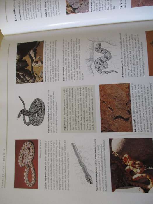 Richtersveld the Enchanted Wilderness Graham Williamson