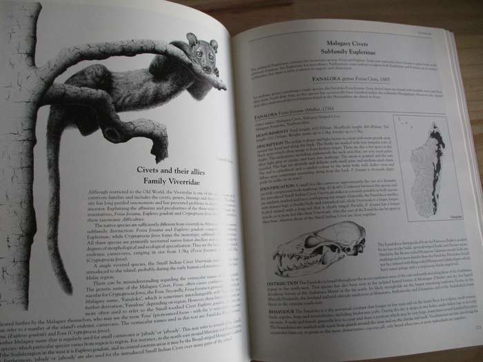 Mammals of Madagascar  Nick Garbutt