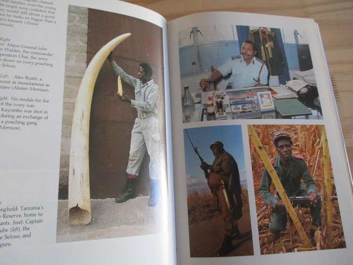 IVORY KNIGHTS - Man, Magic & Elephants. By Nicholas Gordon