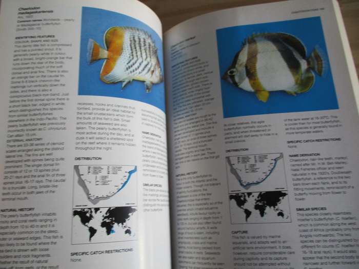 A Guide to the Common Sea Fishes of Southern Africa
