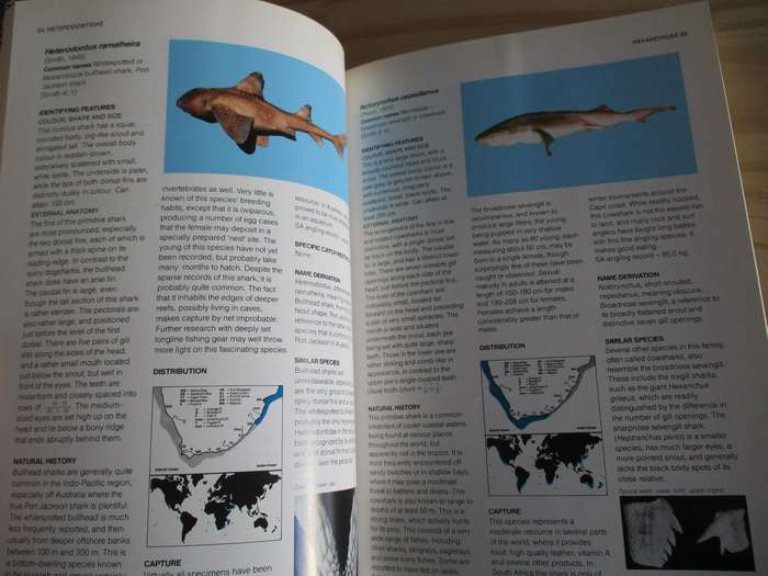 A Guide to the Common Sea Fishes of Southern Africa