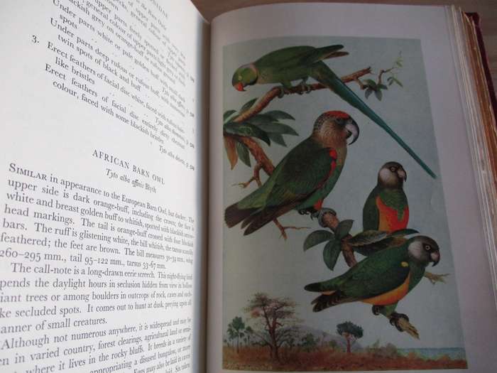 The Birds of West and Equatorial Africa - Volume 1