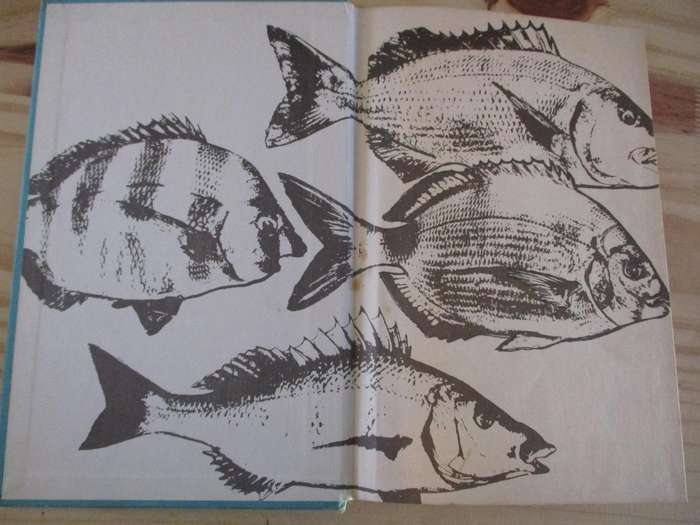 OUR FISHES. By JLB Smith