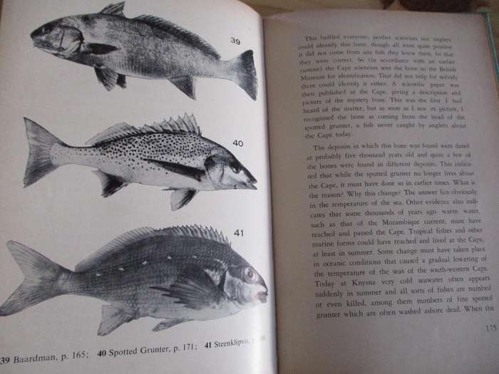 OUR FISHES. By JLB Smith