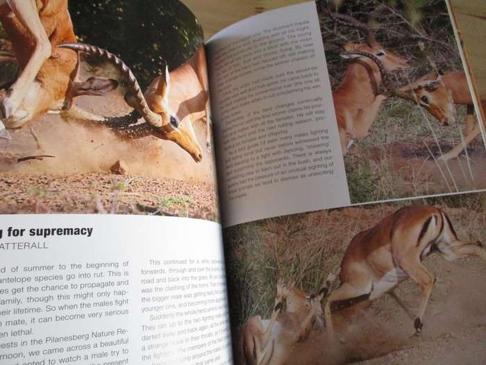 Photo Tales - Wildlife Photo Stories from Africa. VAN DEN BERG