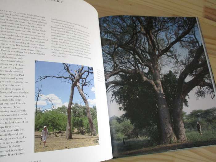 In Search of Remarkable Trees - On Safari in Southern Africa. By Thomas Pakenham
