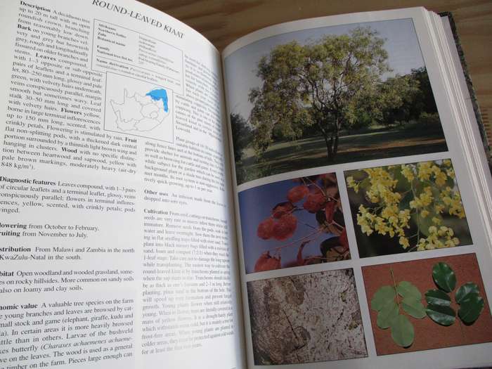 Making the Most of INDIGENOUS TREES