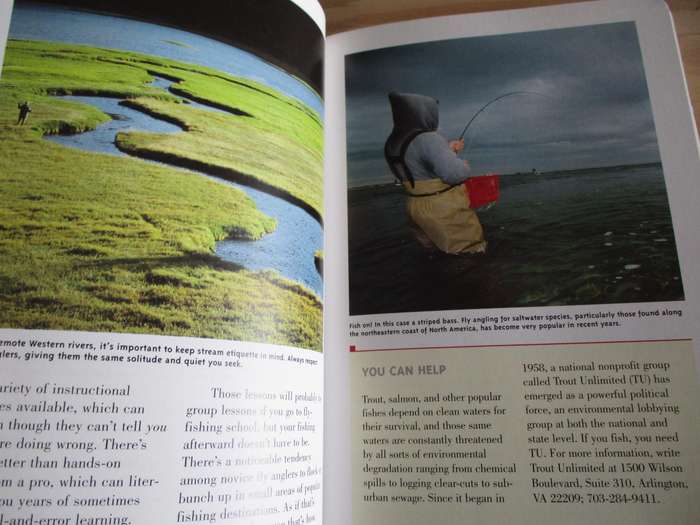 Fly Fishing - A Trailside Guide
