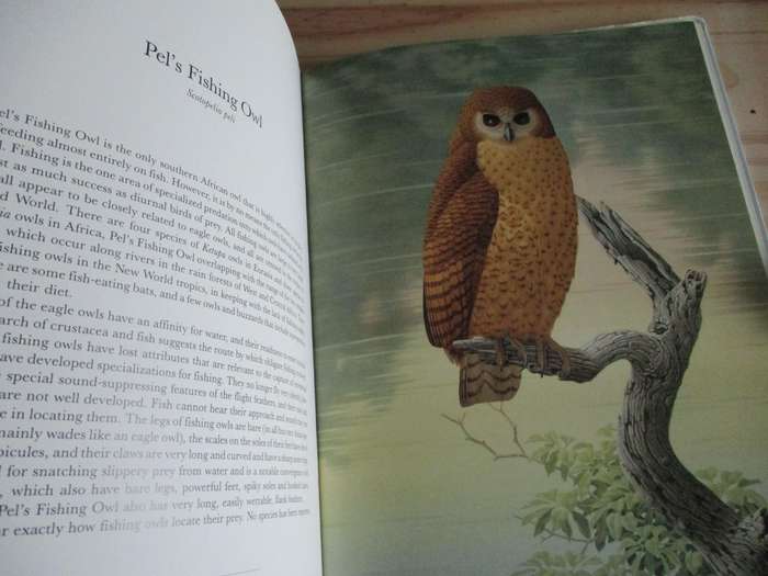 The Owls of Southern Africa