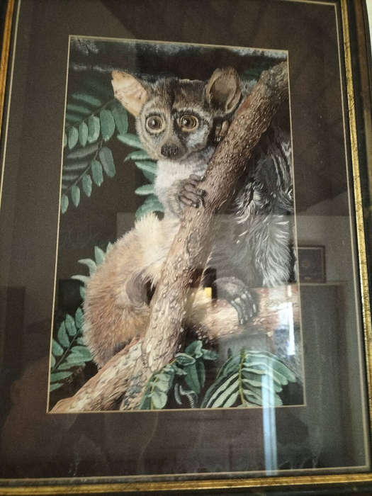 Vintage Hand-Stitched Bushbaby Tapestry  Signed SK  Framed