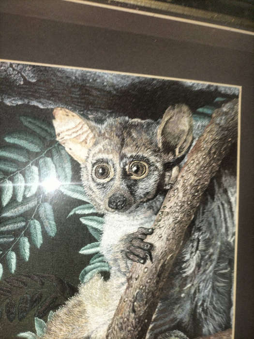 Vintage Hand-Stitched Bushbaby Tapestry  Signed SK  Framed