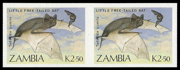 Zambia. Imperforated Pair. UM.