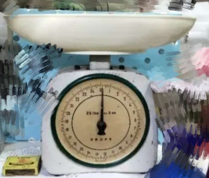 1 Krups Enamel Scale Metal has plastic bowl top