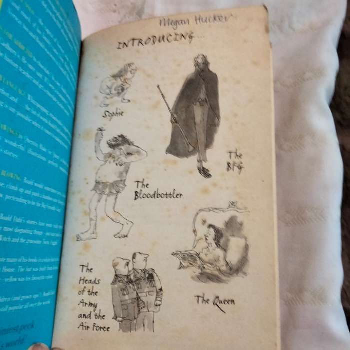 ROALD Dahl PB 1982 soft cover Pre-owned