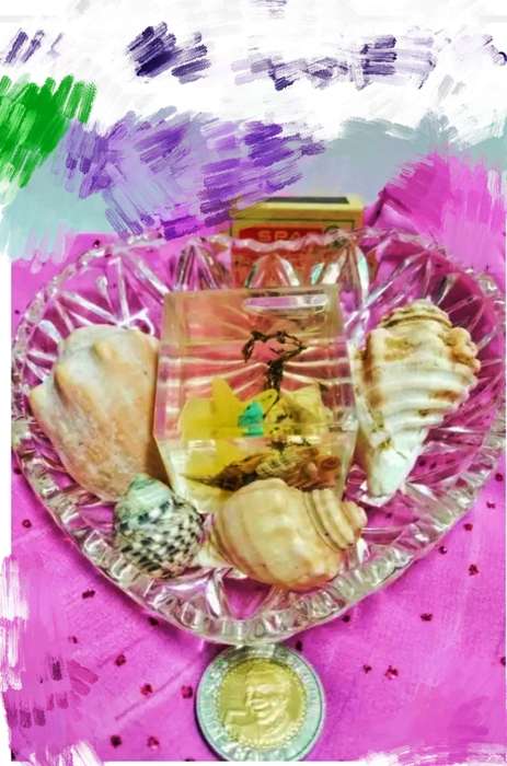 Heart shaped Glass dish + 4 Sea shells + Art Perspex Square inside sea shells