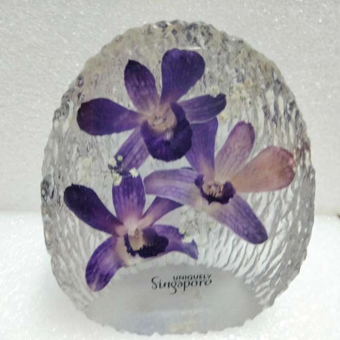 real ORCHIDS preserved in RESIN PAPERWEIGHT-NOT GLASS -LOOK at My BUY NOW LISTINGS NO WAITING