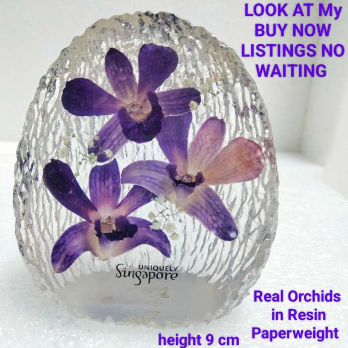 real ORCHIDS preserved in RESIN PAPERWEIGHT-NOT GLASS -LOOK at My BUY NOW LISTINGS NO WAITING