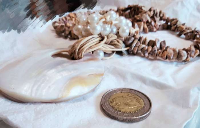 Necklaces 2 separate Now 1-Lots polished chip gemstones+1 Large Mother Of Pearl+faux pearls on cord