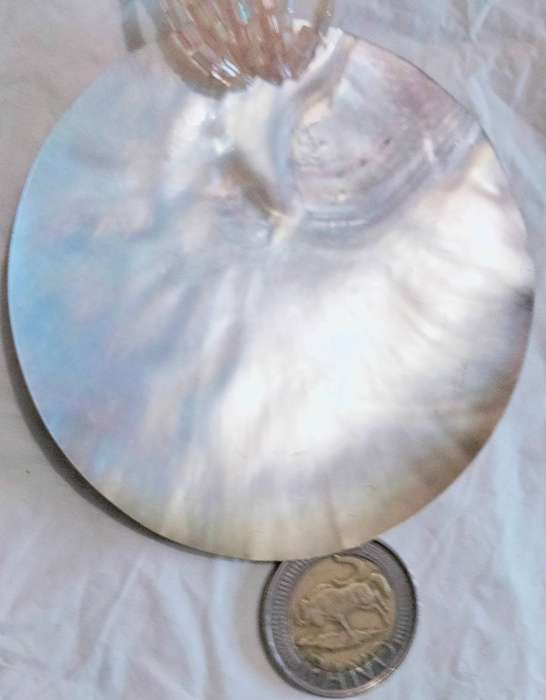 Necklace Genuine MOTHER of PEARL PENDANT 3 Strand Beads Chain LOOK at My BUY NOW Listings NO WAITING