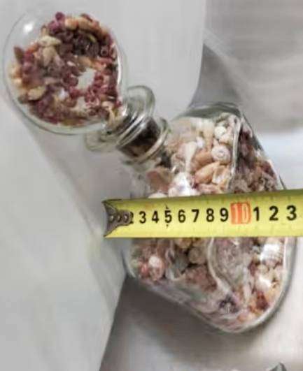 Bottled Sea Shells- Clear bottle full - variety of beautiful Sea Shells Even the stopper WOW