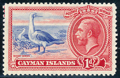 Cayman Islands - 1935 - Geo V - 1d (Red footed booby) mint hinged . SG 98 .