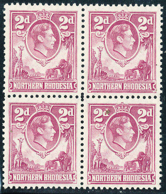 Northern Rhodesia - 1938-53 - Geo 6 - 2d purple block of 4 mint unhinged . SG 33 .